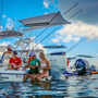 TACO Marine ShadeFin Boat Shade, For Standard Rod Holders, 5 x 6 ft, UPF 50+