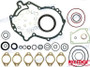 Recmar Gear Gasket Kit (Rec875757)