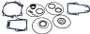 Sea Star Solutions Seal Kit - Sierra Marine Engine Parts - 18-2672 (118-2672)