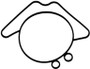 Sea Star Solutions Seal - Sierra Marine Engine Parts - 18-8352 (118-8352)