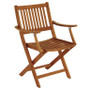 Whitecap Folding Chair w/Arms - Teak 63070