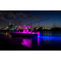 Lumitec - SeaBlaze Quattro LED Underwater Light - IP68, Bronze Finish, 2000Lm - Apollo Lighting