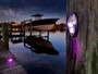 Lumitec Nautilus LED Piling Light, 12-24V, IP67, PLI/TTP Enabled