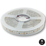 Mega LED - LED Linear Tape Light - Digital Rainbow Colors, 60 SMD LED Per Meter (5050-12DR)