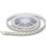 Mega LED - LED Tape Light - 240 SMD LED, 1274 Lumens Per Meter, 17.6W Per Meter