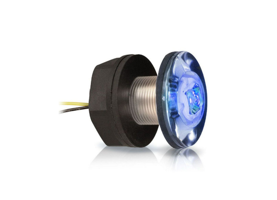 Baitwell Lights