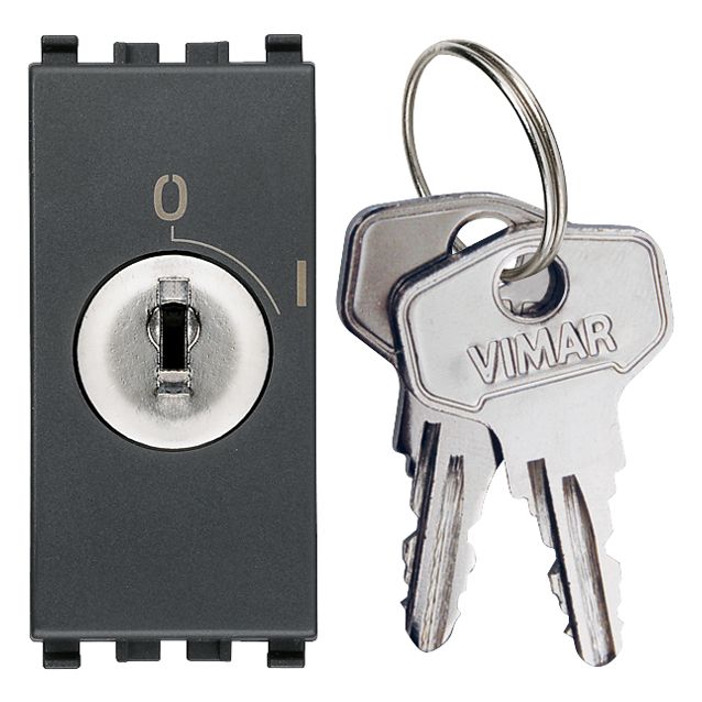 Vimar Eikon 20082 2-Pole Key-Operated 1-Way Switch, 16AX 250V, Key Removable Only in OFF, IP40, Screw Terminals