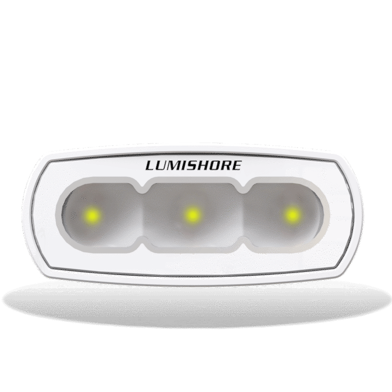 Lumishore - ECLIPSE Flood Light 4" - Flush Mount, Black, 10/31V, 5500K, 1500 Lumens