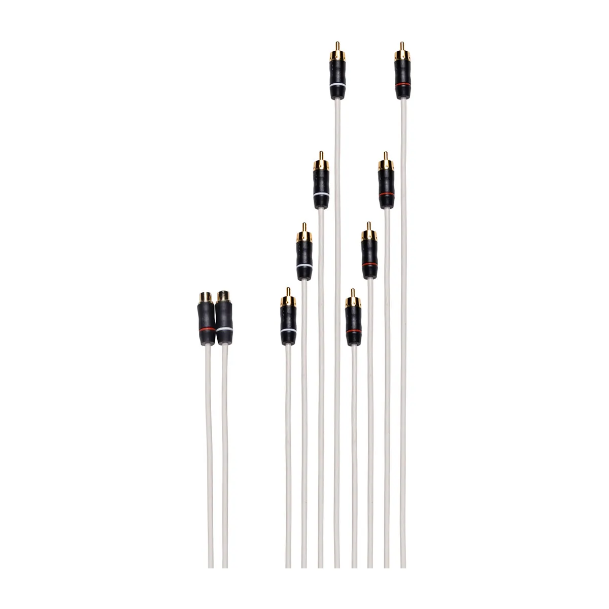 Fusion - RCA Splitter Cable - 2 Female RCA's to 8 Male RCA's