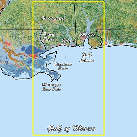 Garmin Standard Mapping Mississippi Sound Professional microSD/SD Card