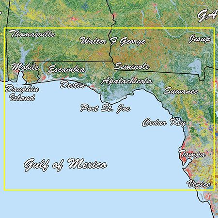 Garmin Standard Mapping Emerald Coast Professional microSD/SD Card, Coastal Aerial Overlay, State/Federal Offshore Boundaries