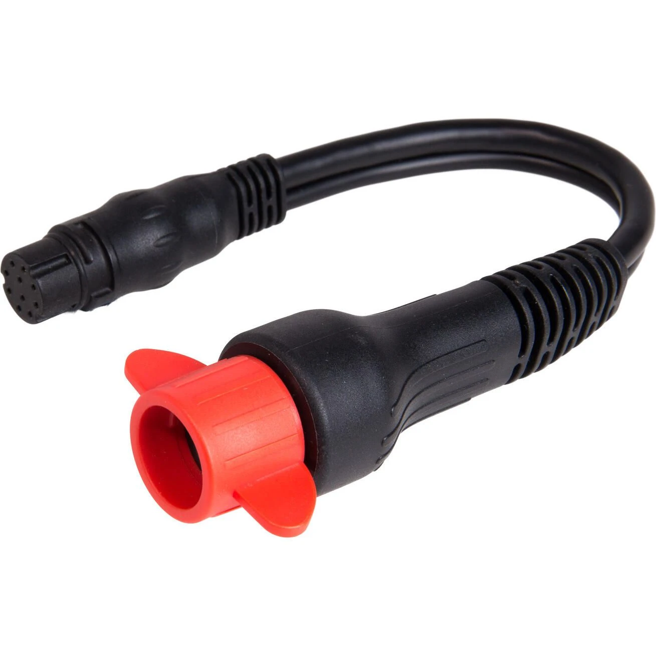 Raymarine Adapter Cable, CPT-60/70/80 to Dragonfly 4/5 & Wi-Fish