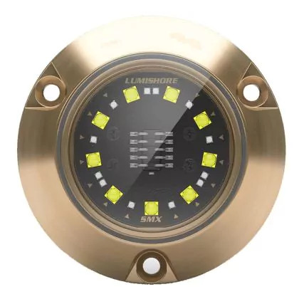 Lumishore ECLIPSE SMX24 LED Surface Mount Underwater Light, Dual-Color Blue/White, 12/24V, 3,100 lm