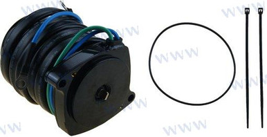 Recmar Trim Motor (Rec6Aw-43880-22)