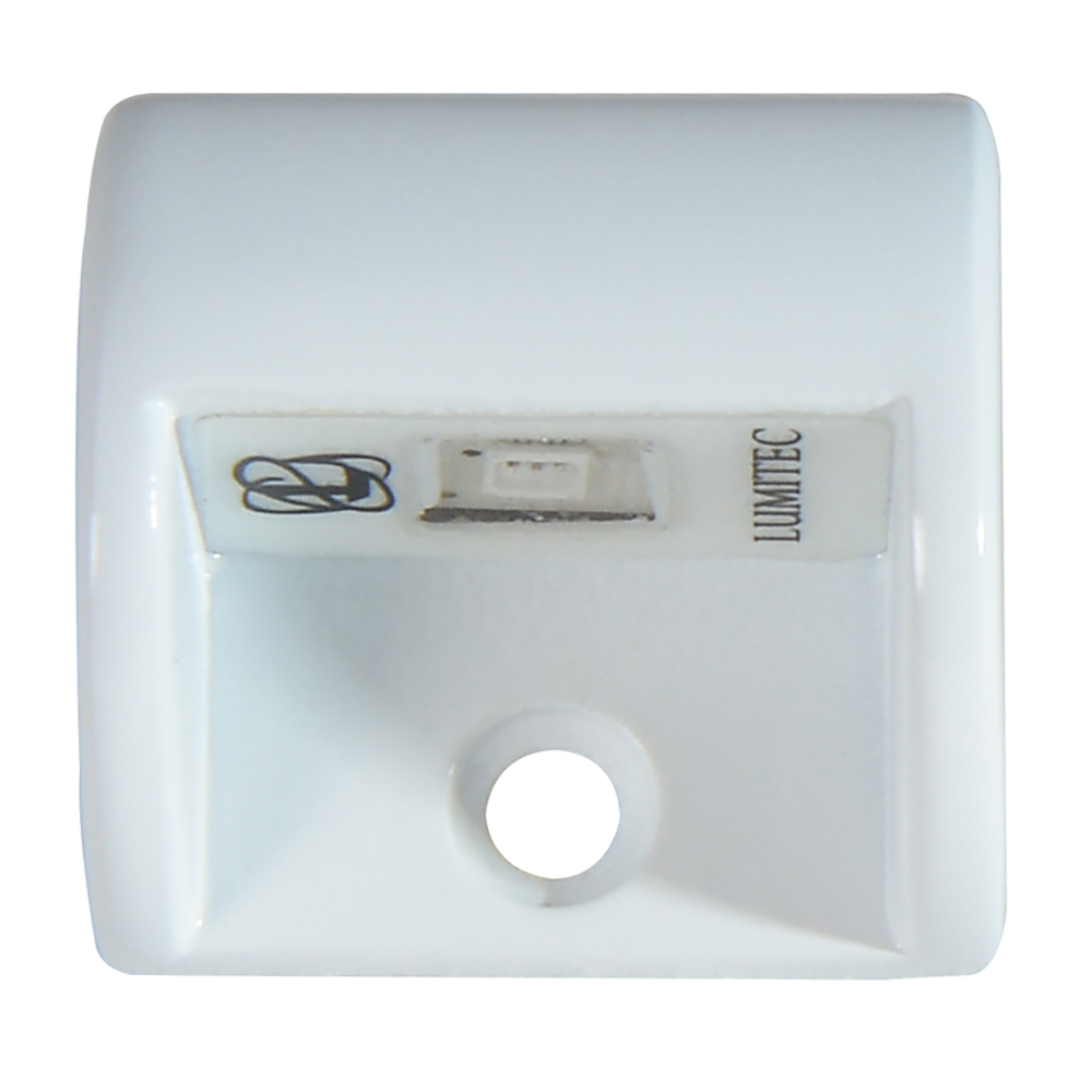 Lumitec Andros LED Courtesy Light, 10-16V, IP67, SS316, 1 x 1 in