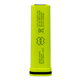 Alkaline & Lithium Batteries