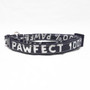 Katzenhalsband - 100 % Pawfect