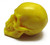 GRA - Skull Fortress CLASSICS COMPATIBLE Elevator Skull Head Unfinished Custom Repro