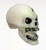 SCA - Evil Ghost CLASSICS COMPATIBLE Screaming Skull Glow in the Dark Head Painted Custom