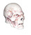 SKE - Skeleton Lord CLASSICS COMPATIBLE Movie Skull & Hood Set Painted Custom Repro