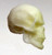 SCA - Evil Ghost CLASSICS COMPATIBLE Skull Glow in the Dark Head Unfinished Custom