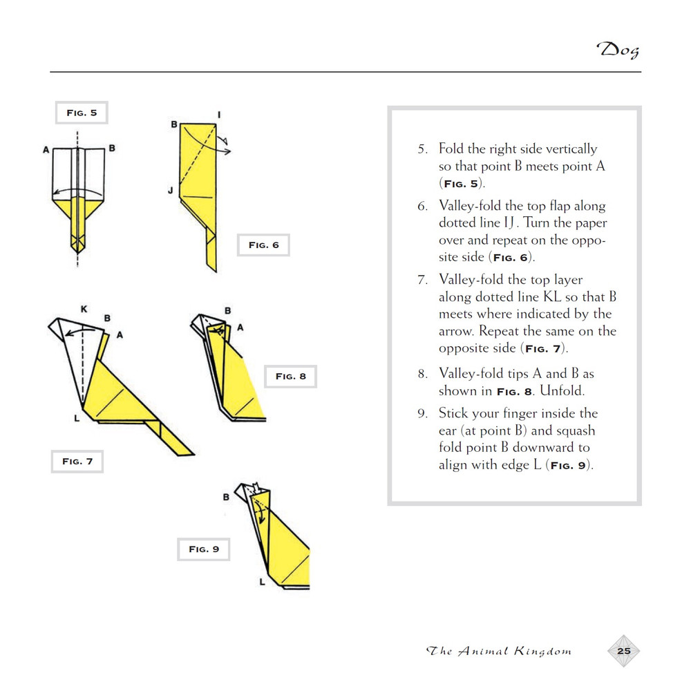 Origami Extravaganza! Folding Paper, a Book, and a Box (9780804832427)