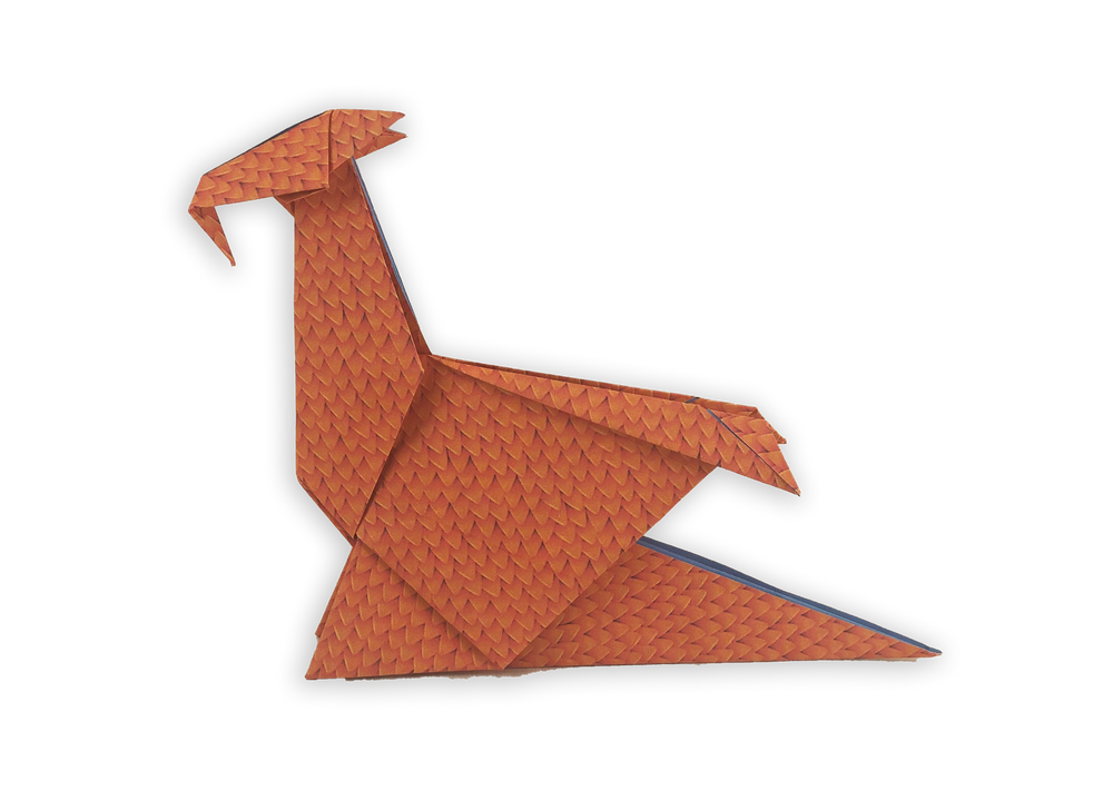 Origami Dragons Kit (9780804853101)