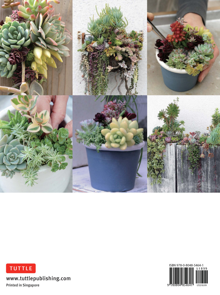 Succulents Made Easy (9780804854641)