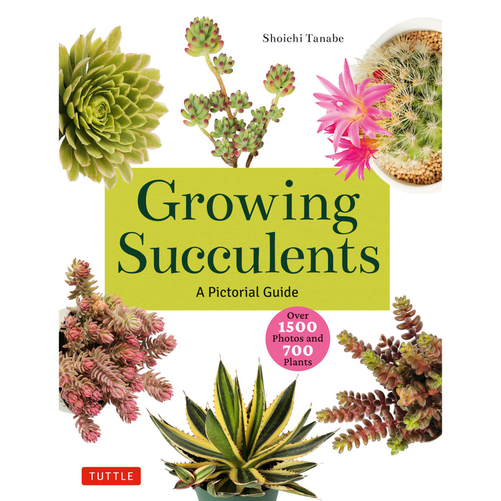 Growing Succulents (9780804855532)