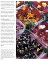 The Edible Flower Garden (9789625932934)