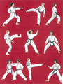 Karate for Kids (9780804835343)