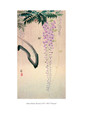 In a Japanese Garden Coloring Book(9784805314036)