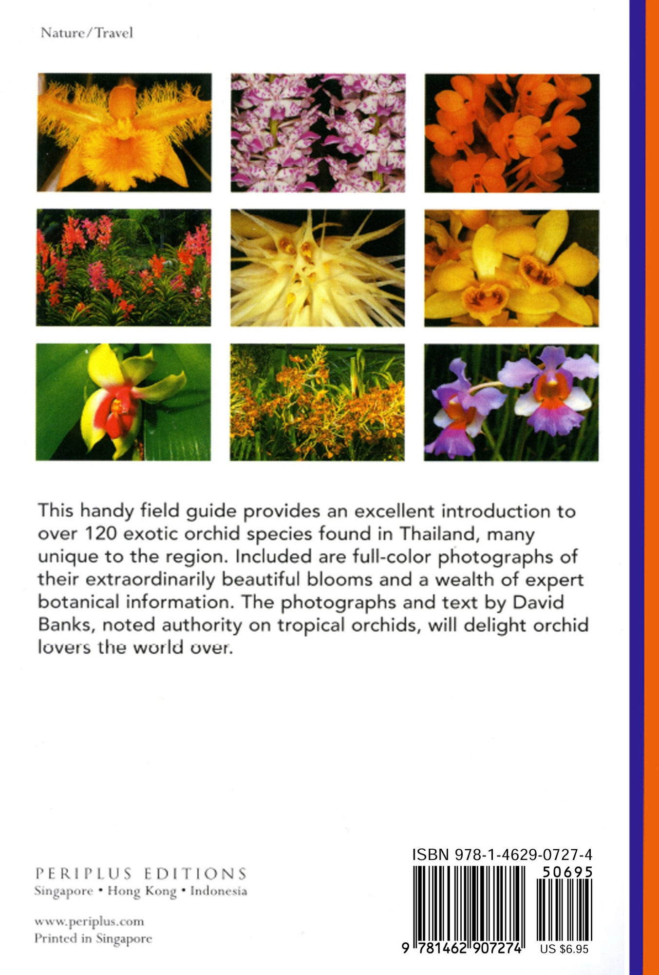 Handy Pocket Guide to Orchids (9780794601911) - Tuttle Publishing