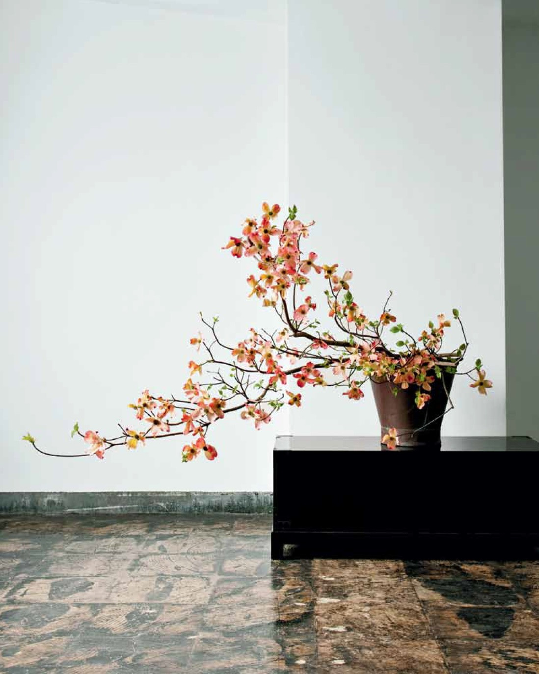 Japanese Ikebana for Every Season (9784805312124) - Tuttle Publishing