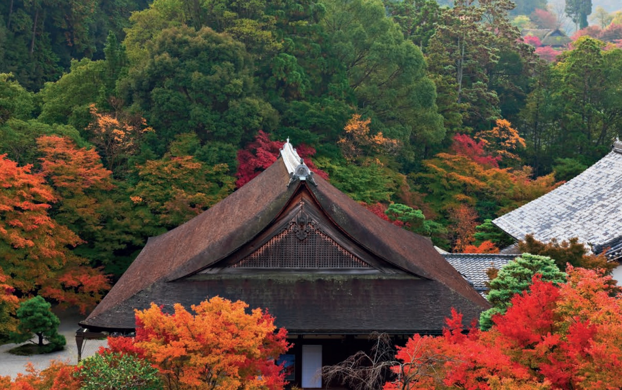 Kyoto Gardens (9784805313213) - Tuttle Publishing