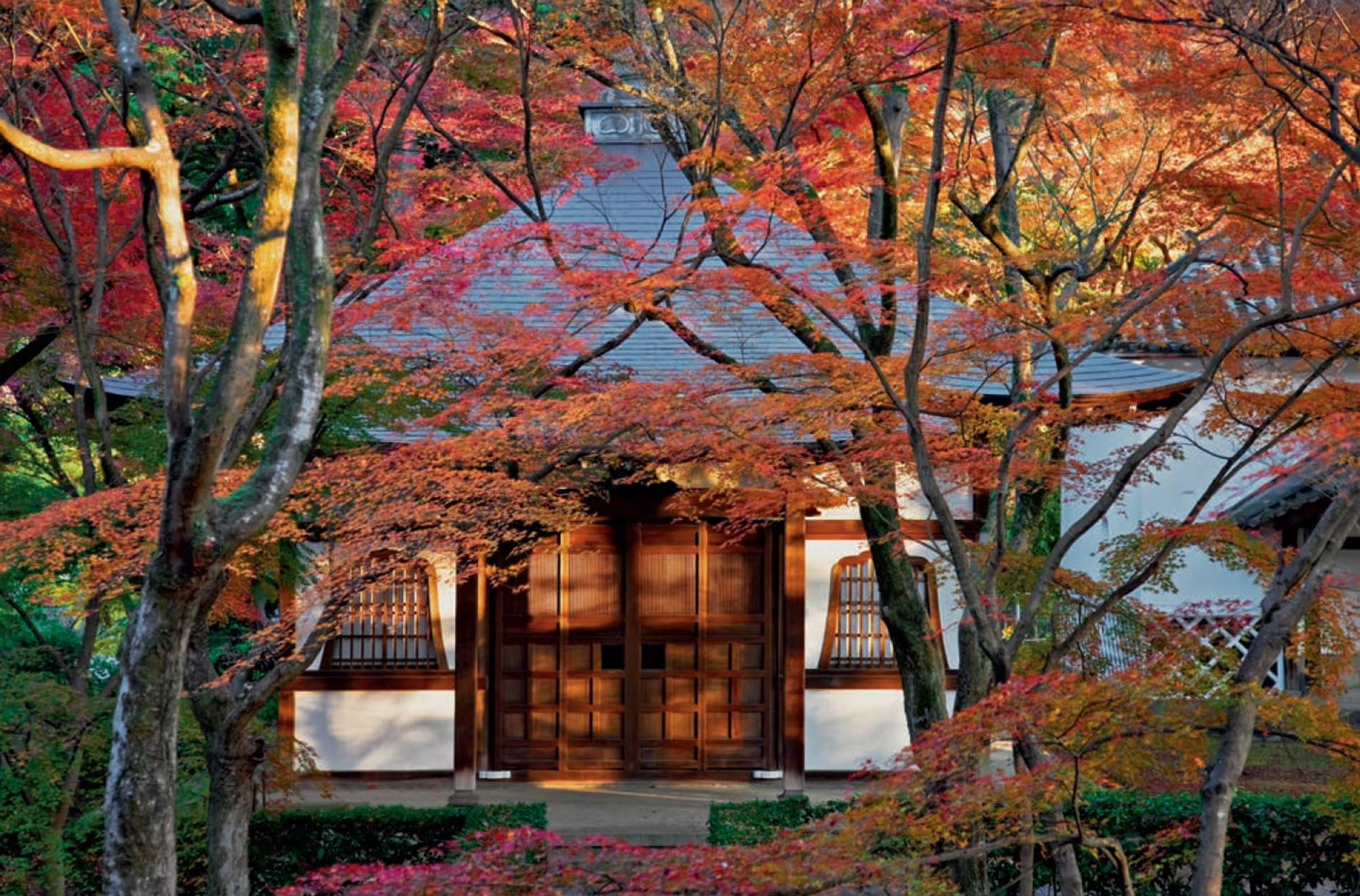 Kyoto Gardens (9784805313213) - Tuttle Publishing
