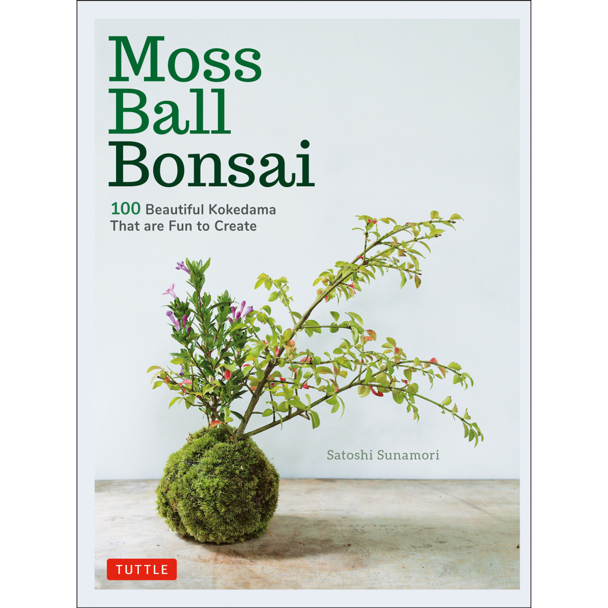 Moss Bonsai - Moss Desktop Round Bonsai - Mossartify