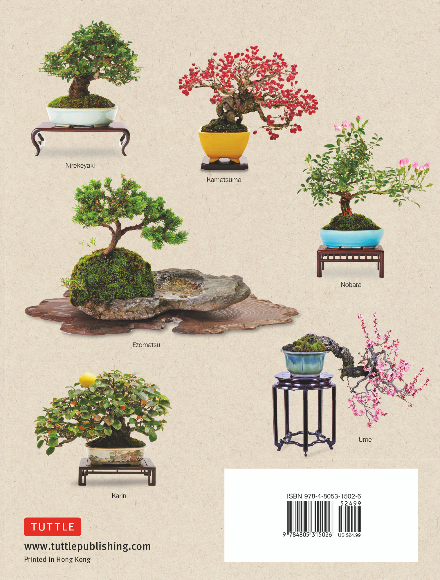 The Ultimate Bonsai Handbook (9784805315026) - Tuttle Publishing