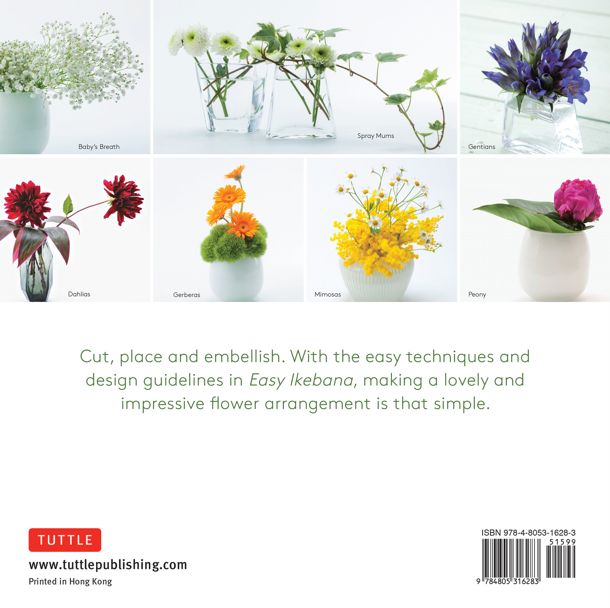 Easy Ikebana (9784805316283) - Tuttle Publishing