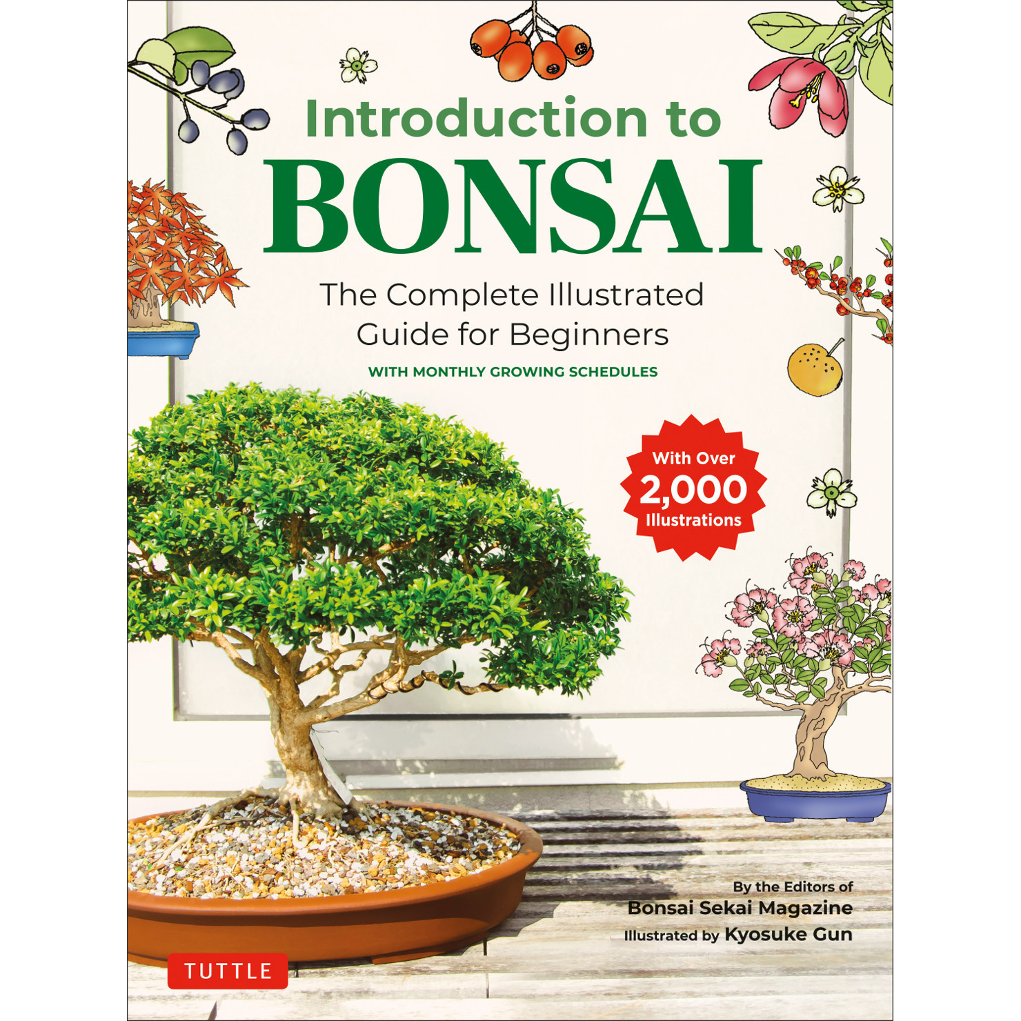 Introduction to Bonsai (9784805315446) - Tuttle Publishing