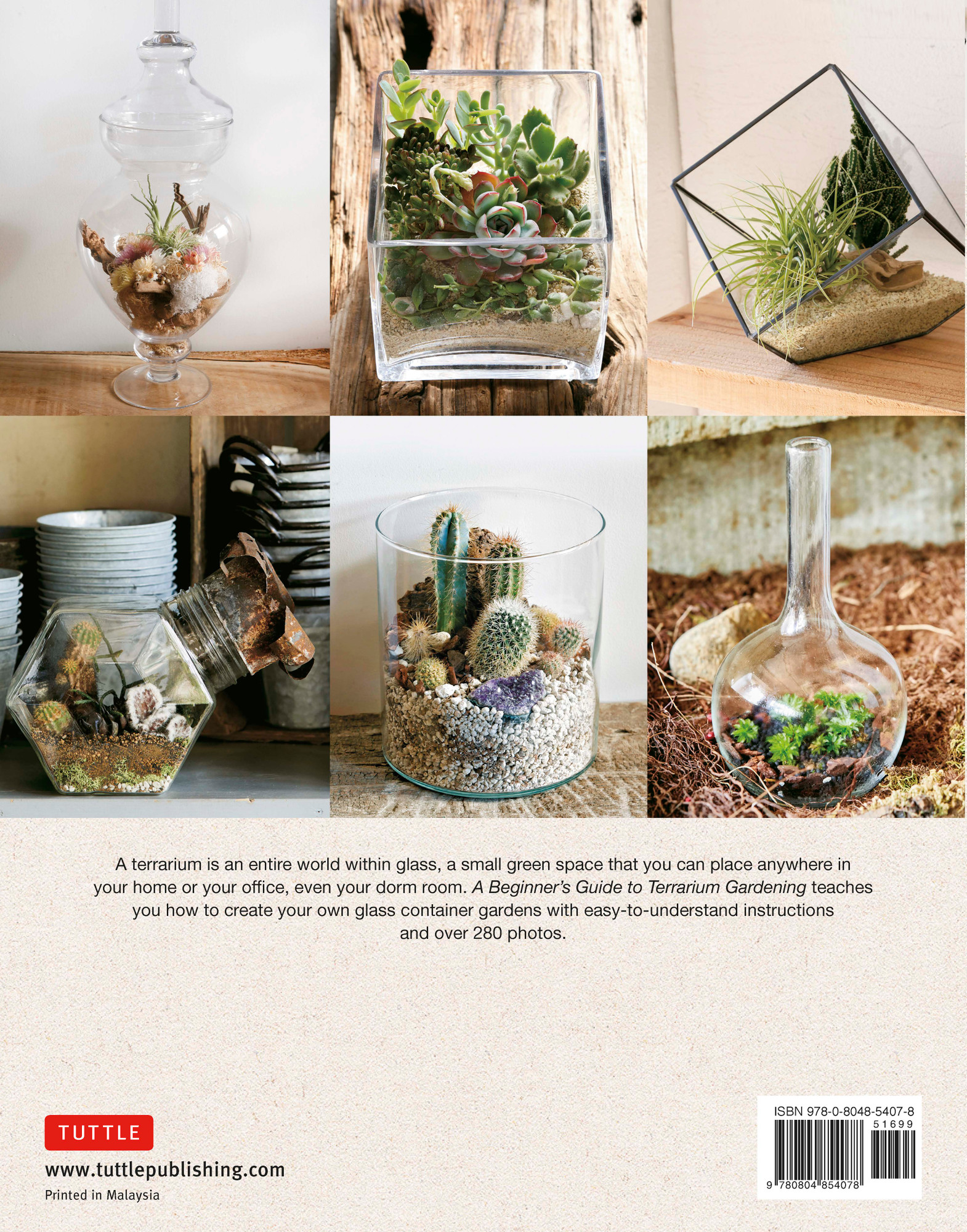 A Beginner's Guide to Terrarium Gardening (9780804854078) - Tuttle