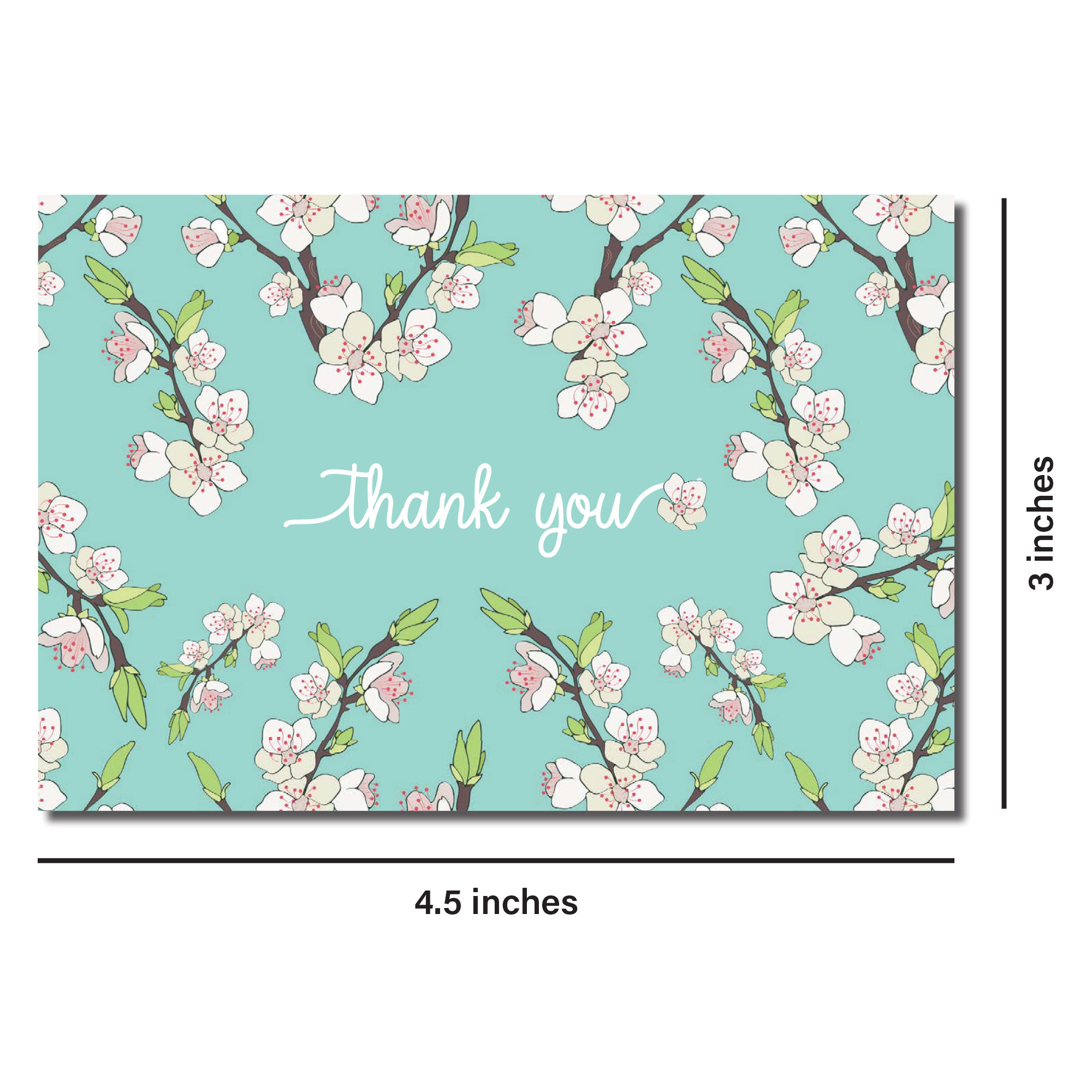 Cherry Blossoms, 40 Thank You Cards with Envelopes (9780804853545)
