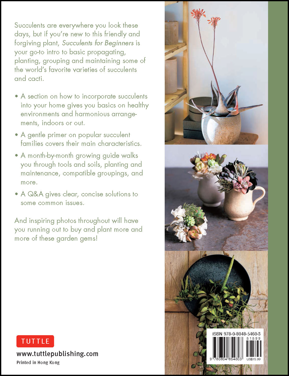 Succulents for Beginners (9780804854603) - Tuttle Publishing