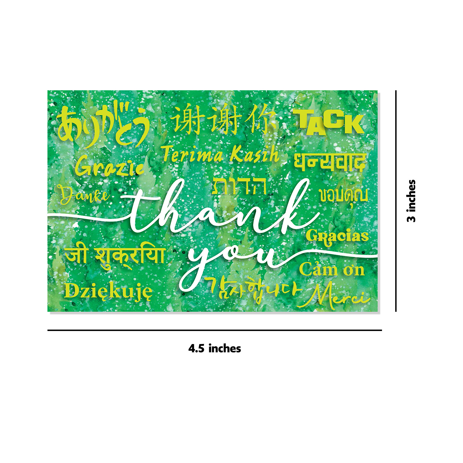 Nature Watercolors, 40 Thank You Cards with Envelopes
