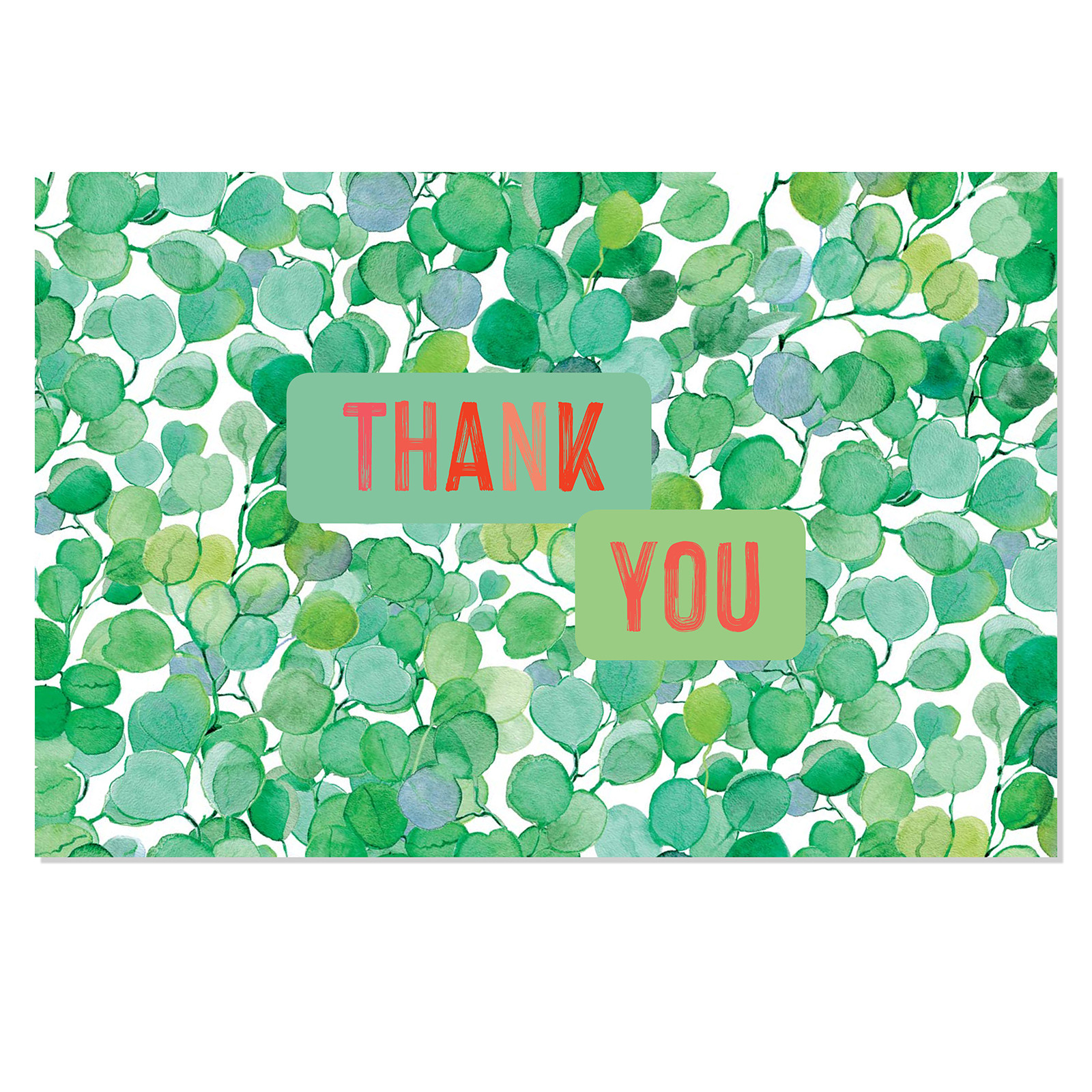 Nature Watercolors, 40 Thank You Cards with Envelopes