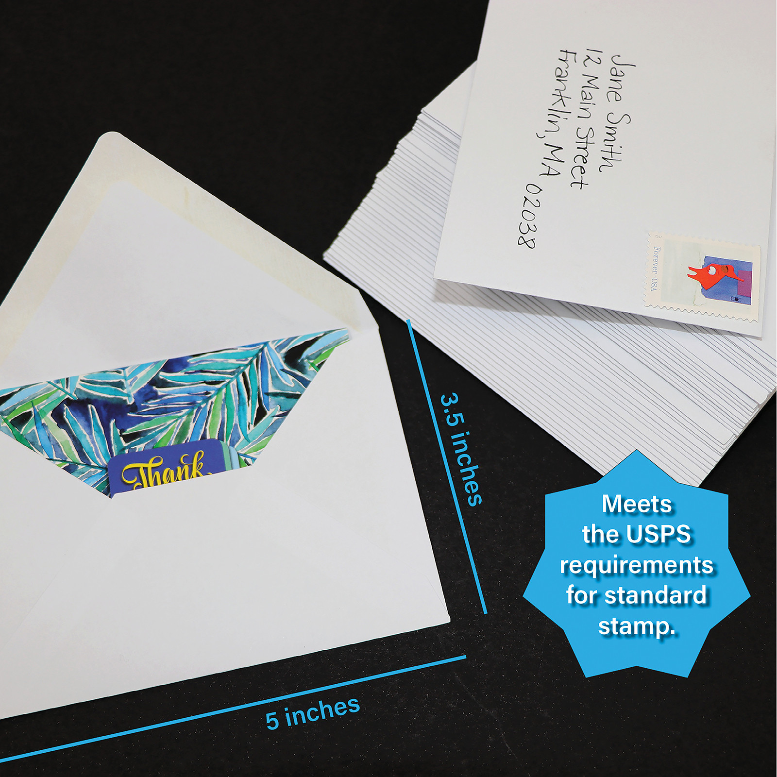 Nature Watercolors, 40 Thank You Cards with Envelopes
