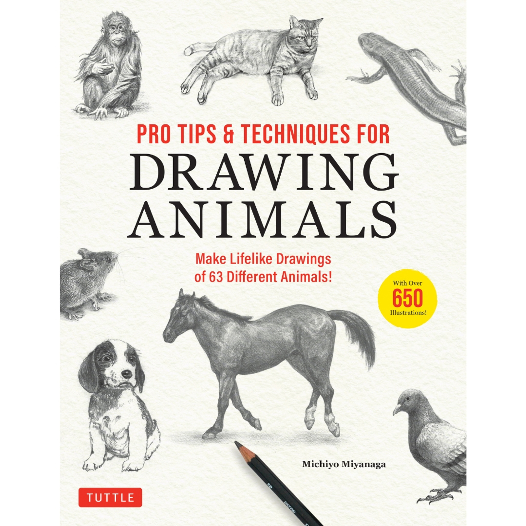 How to Draw Animals: A Visual Reference Guide to Sketching 100 Animals  Including Popular Dog and Cat Breeds! (with Over 800 Illustrations)  (Paperback)