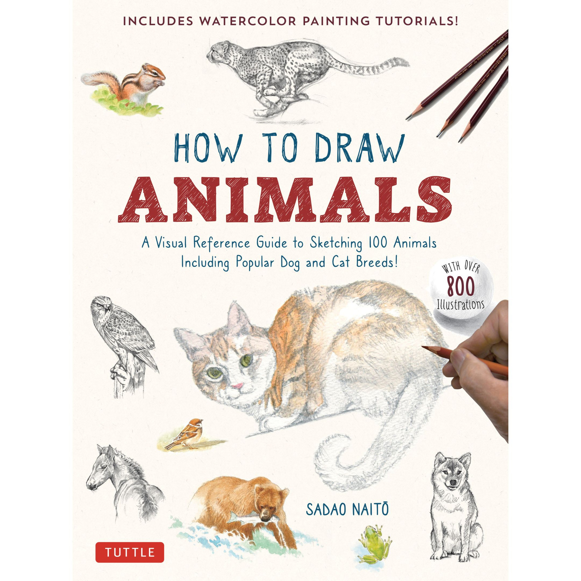 How to Draw Animals (9784805317358)