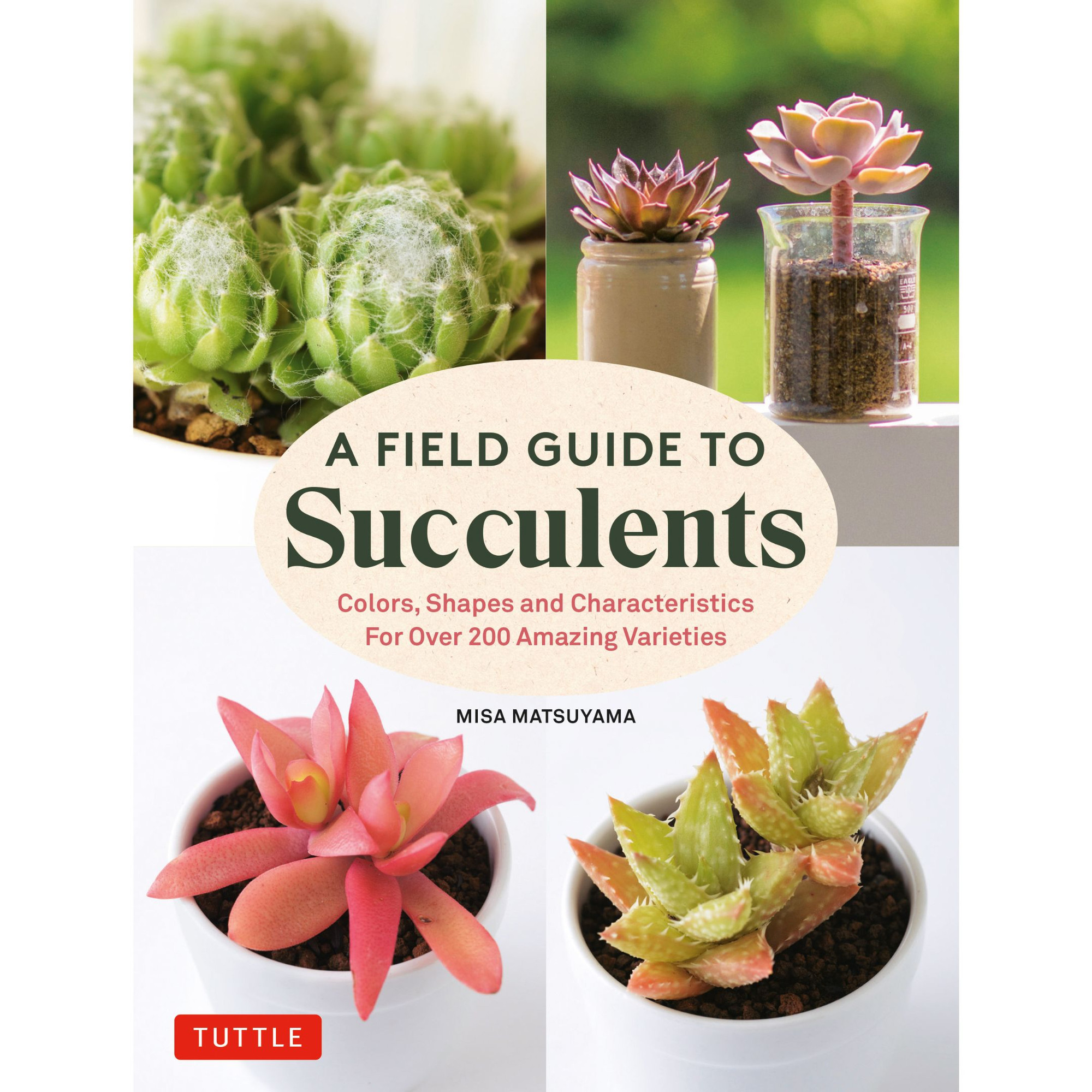 A Field Guide to Succulents (9780804855976) - Tuttle Publishing