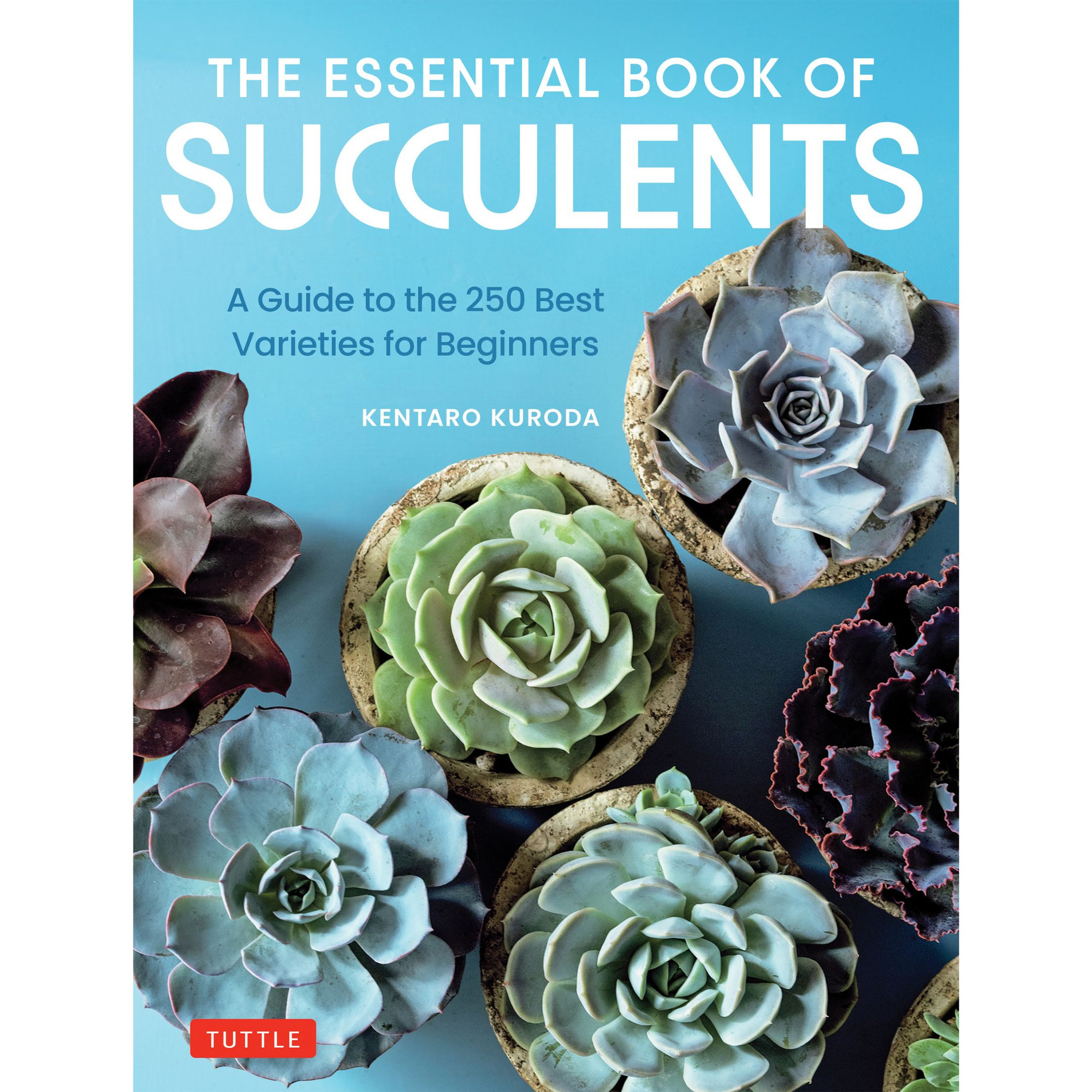 The Essential Book of Succulents (9780804856003)